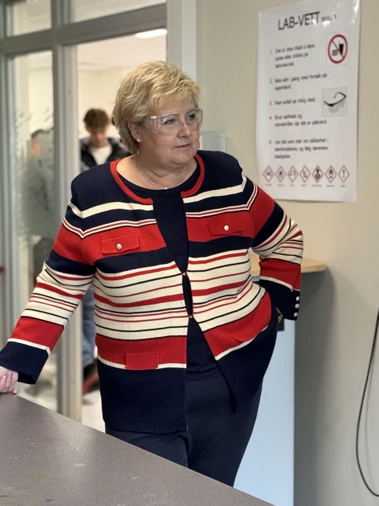 Erna